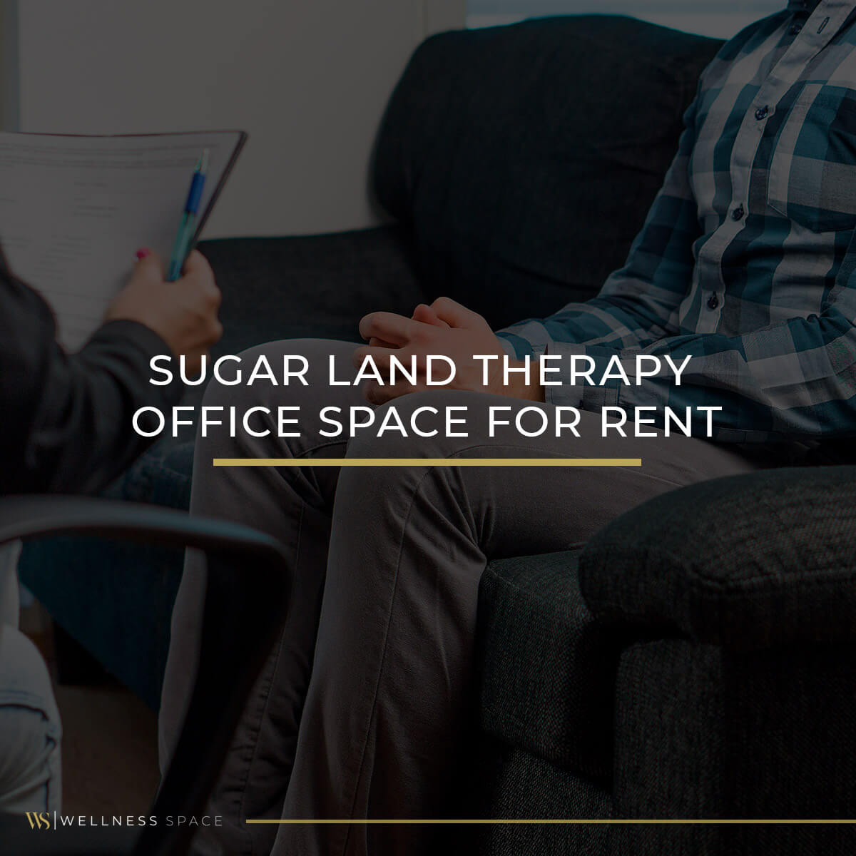 Sugar Land Therapy Office Space For Rent WellnessSpace